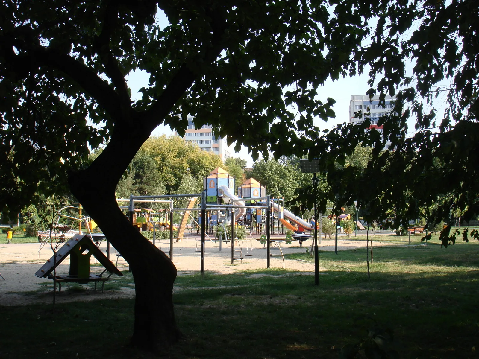 Loc de joacă în Parcul Floreasca, cu tobogane și leagăne, văzut printre ramurile unui copac, în 2012
